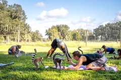 619732411_18561078085014811_8262210640121632513_n